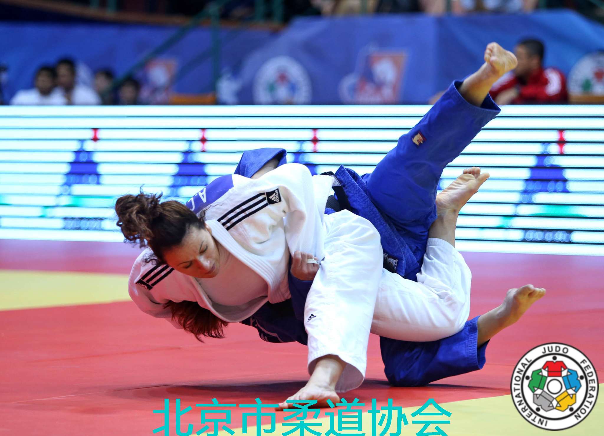 柔道图片/柔道美图:judo grand prix tashkent 2014